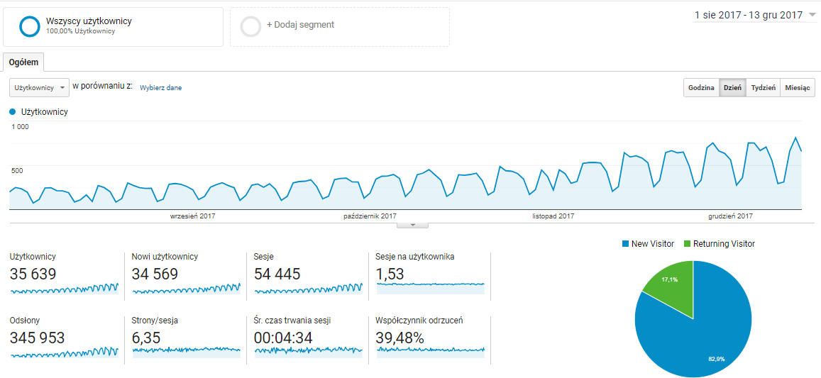Ruch w sklepie e-commerce - Google Analytics
