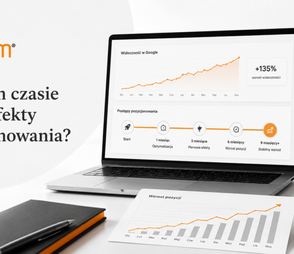 Po jakim czasie widać efekty pozycjonowania